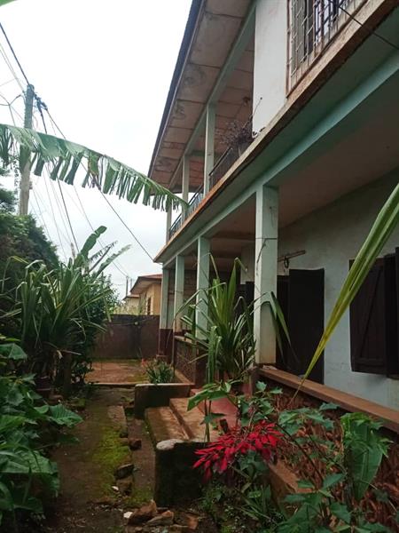 Immeuble À Louer À Bafoussam, Centre Ville - Espaces commerciaux et